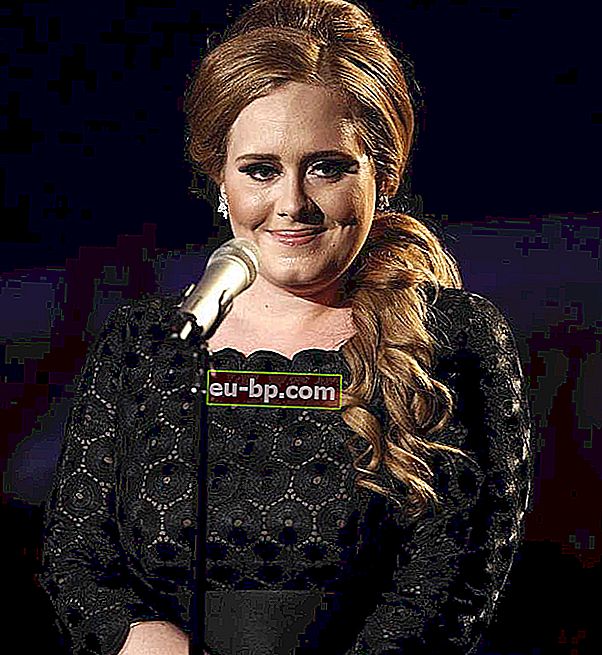 Kekayaan Bersih Adele