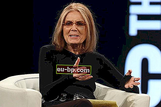Karir Gloria Steinem