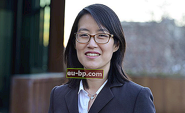Ellen Pao, seorang Investor dan Aktivis terkenal